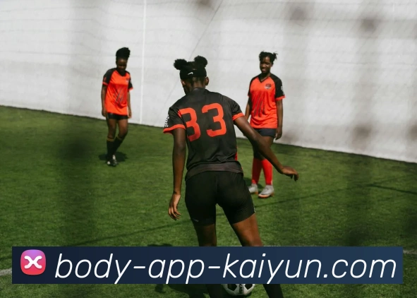 开云app发展历程