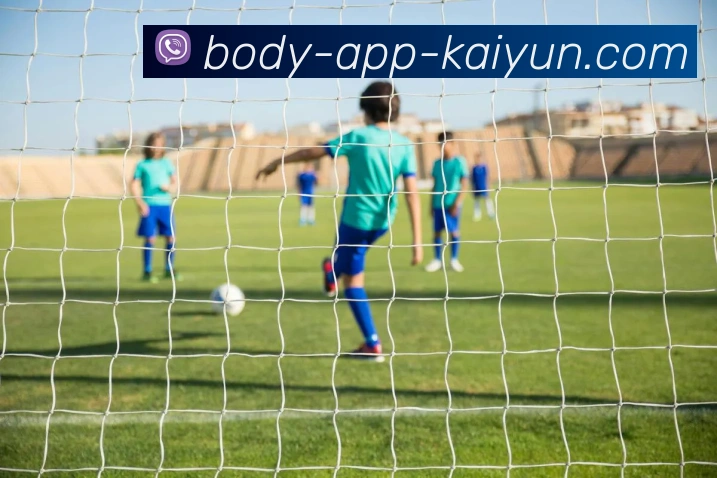 开云appAPP 封面图